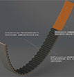 Timing Belt