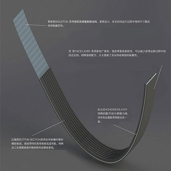 Poly V Belt